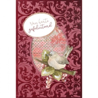 (3DVC10003)3D and Do -  Velvet Cards A6  - Precious Marieke - Birds and Berries