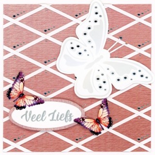 (BC4K10001)Butterfly Cards 1