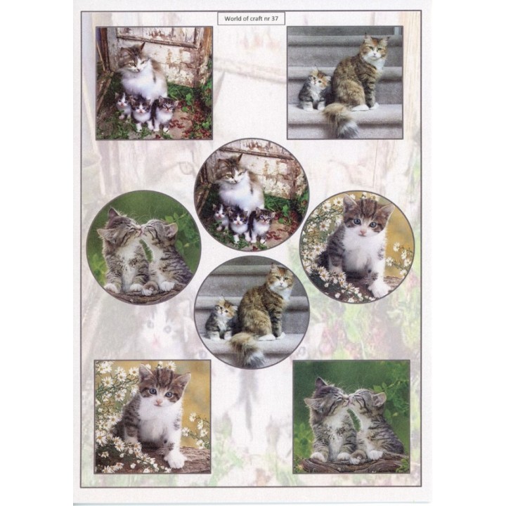 (WOC10037)Cutting Sheet - WOC - nr 37 - Cats
