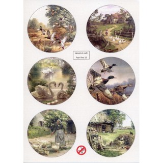 (WOCPL015)Scenery Parelmoer - WOC - nr15 - Birds - Round