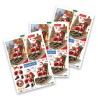 (11-DCD734)Katy Sue Designs Santa's Story 3D Die-Cut Decoupage (3pcs)