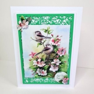 (11-DCD528)Katy Sue Designs Birds in Blossom 3D Die-Cut Decoupage (3pcs)