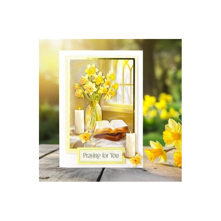 (11-DCD725)Katy Sue Designs Daffodil Window 3D Die-Cut Decoupage (3pcs)
