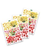 (11-DCD703)Katy Sue Designs Daffodil, Tulip & Poppy Bouquet 3D Die-Cut Decoupage (3pcs)