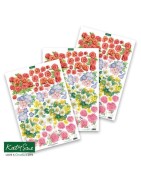 (11-DCD700)Katy Sue Designs Flower Patch 3D Die-Cut Decoupage (3pcs)