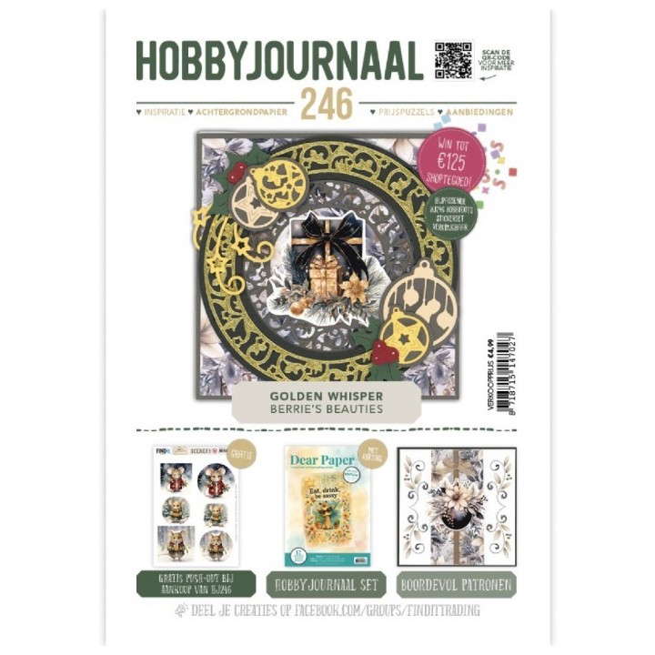 (HJ246)Hobbyjournaal Magazine 246