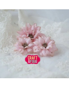(CW360)Craft and You design Sweet Flowers by Gosia Dies