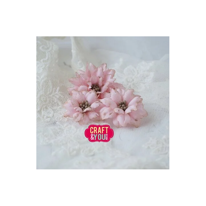 (CW360)Craft and You design Sweet Flowers by Gosia Dies