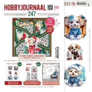 (HJ247)Hobbyjournaal Magazine 247