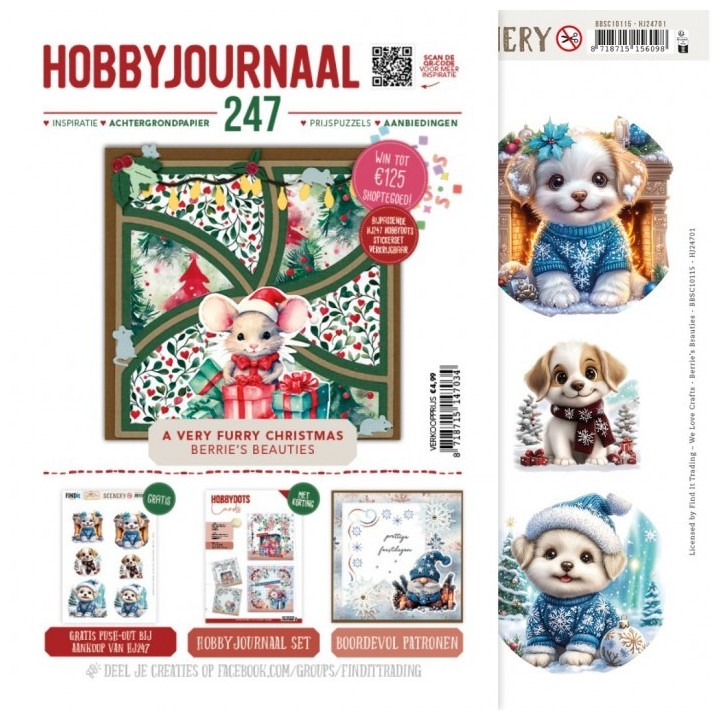 (HJ247)Hobbyjournaal Magazine 247
