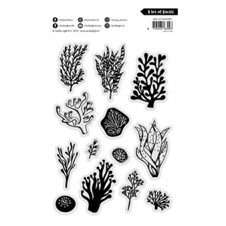 (ABM-25-STAMP888)Studio light Stamp A lot of corals Art By Marlene nr. 888