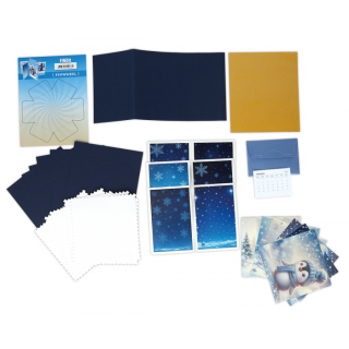 (PWSET002)Findit - Pinwheel - Winter Penguins