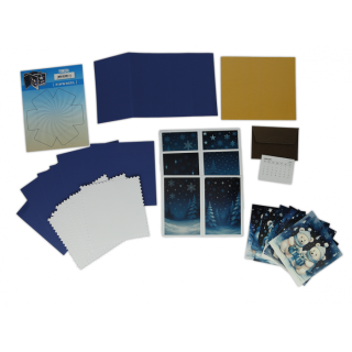 (PWSET003)Findit - Pinwheel - Polar Bears