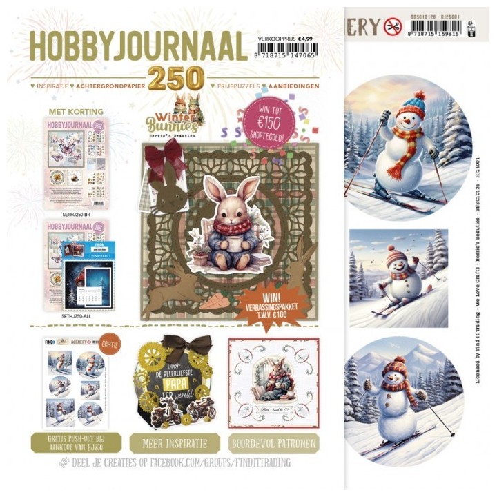 (HJ250)Hobbyjournaal Magazine 250