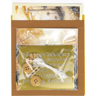 (PWSET006)Findit - Pinwheel - Jungle XL