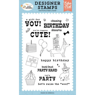 (PA480046)Echo Park Party Animal Designer Stamps Chasing Birthday Dreams