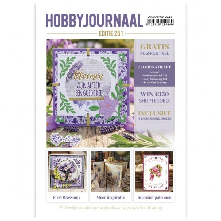 (HJ251)Hobbyjournaal Magazine 251