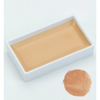 (MC21/ 12)ZIG Gansai Tambi Rose Beige