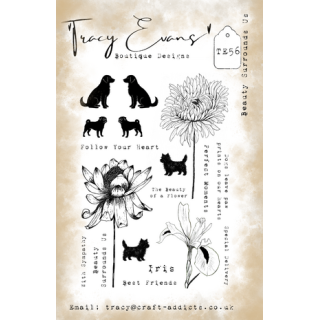 (TE056)Tracy Evans Beauty Surrounds Us A5 Stamp