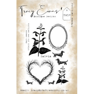 (TE058)Tracy Evans Framed Delights A5 Stamp