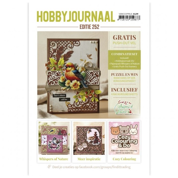 (HJ252)Hobbyjournaal Magazine 252