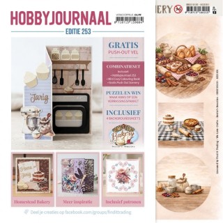 (HJ253)Hobbyjournaal Magazine 253