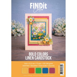 (FITCBA5008)Find It Color - Linen Cardstock Pack A5 - Bold Colors Pack