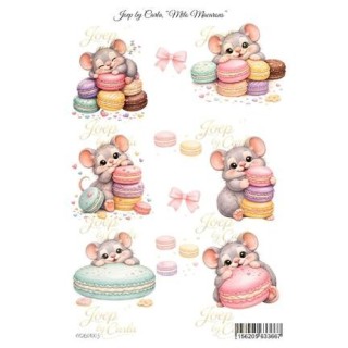 (JBC-KV-2601003)Joep By Carla Milo Macarons