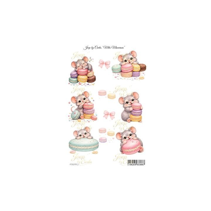 (JBC-KV-2601003)Joep By Carla Milo Macarons