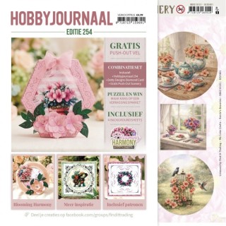 (HJ254)Hobbyjournaal Magazine 254