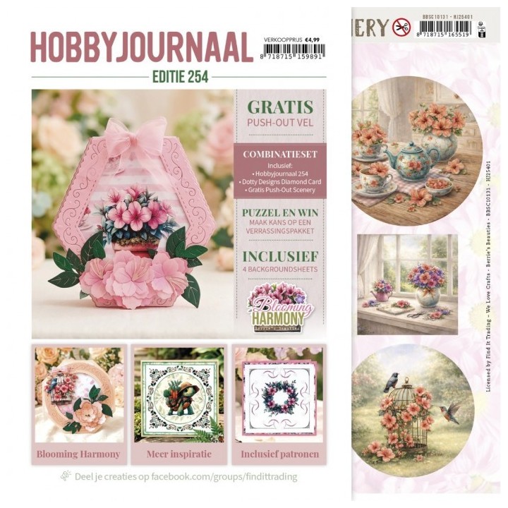(HJ254)Hobbyjournaal Magazine 254