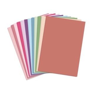 (03-10075TTD)Katy Sue Designs Cardstock imprime mat et superposition - Twin Tones: Dusty Hues