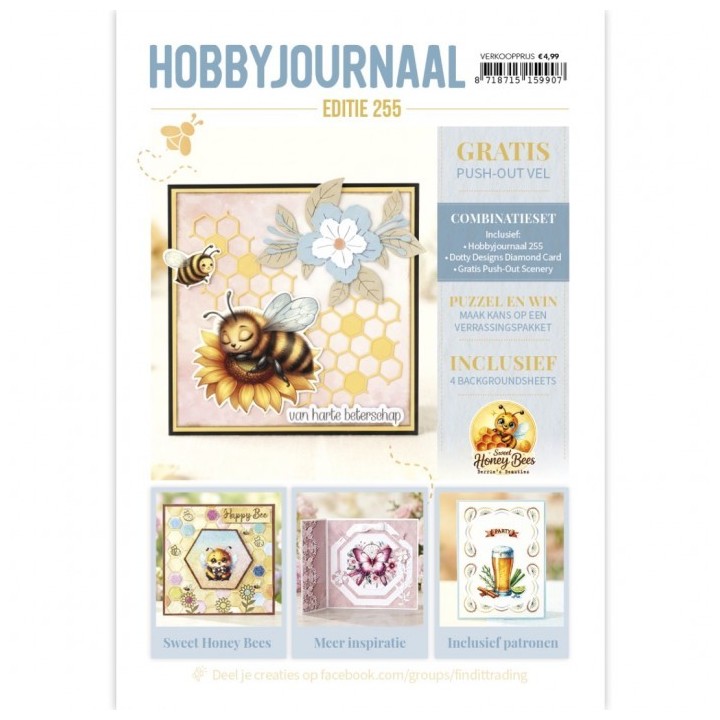 (HJ255)Hobbyjournaal Magazine 255