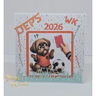 (JBC-KV-2601024)Joep By Carla Voetballen met Joep