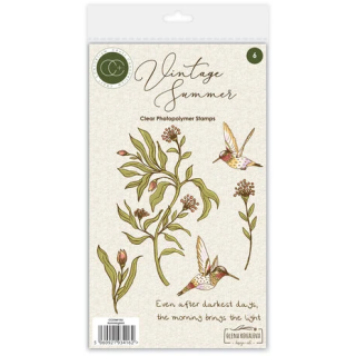 (CCSTMP103)Craft Consortium Vintage Summer A6 Clear Photopolymer Stamps Hummingbird by Olena Kovalova