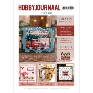 (HJ256)Hobbyjournaal Magazine 256