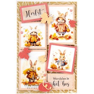 (VK9652)Knipvel A4, Autumn Stamps (20 images)