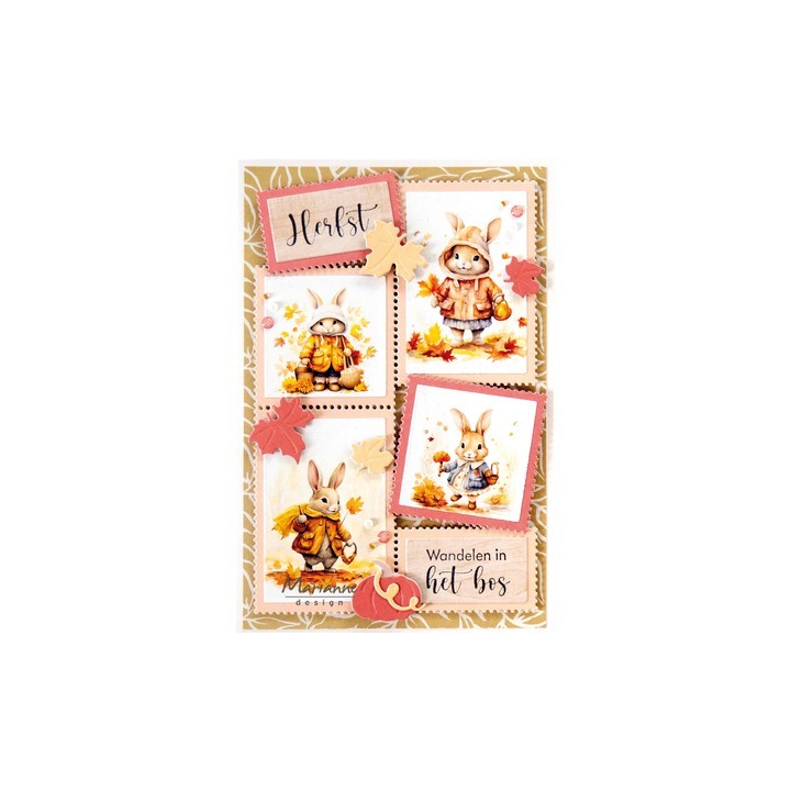 (VK9652)Knipvel A4, Autumn Stamps (20 images)