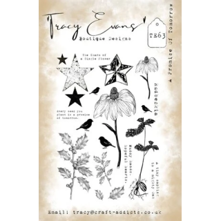 (TE063)Tracy Evans A Promise Of Tomorrow A5 Stamp