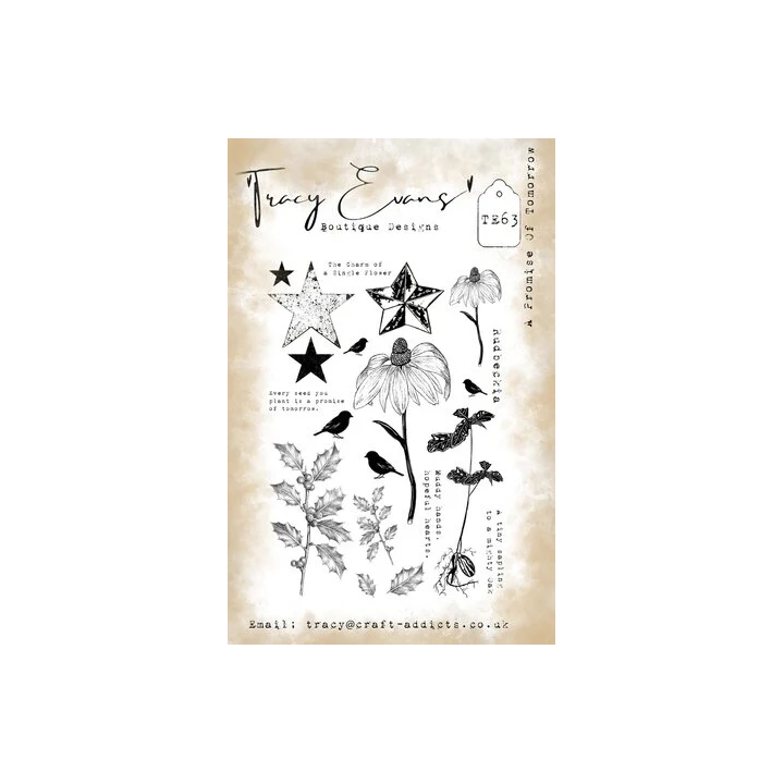 (TE063)Tracy Evans A Promise Of Tomorrow A5 Stamp