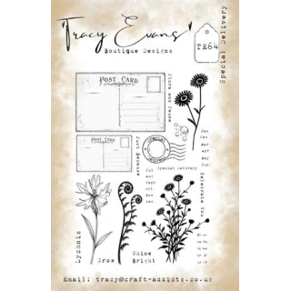 (TE064)Tracy Evans Special Delivery A5 Stamp