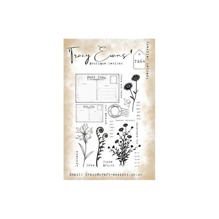 (TE064)Tracy Evans Special Delivery A5 Stamp