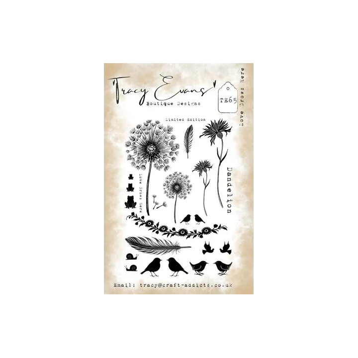 (TE065)Tracy Evans Love Grows Here A5 Stamp