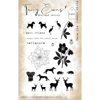 (TE068)Tracy Evans Take The Scenic Route A6 Stamp