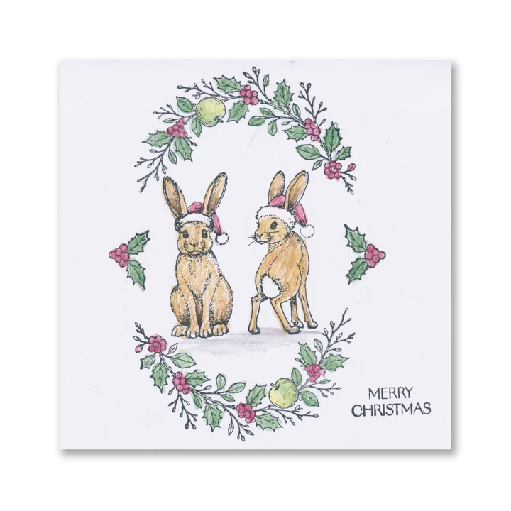 (STA-CH-12437-A6)Barbara's Christmas Animals - Hare A6 Stamp & Mask Set