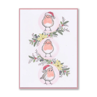 (STA-CH-12441-A6)Barbara's Christmas Animals - Robins A6 Stamp & Mask Set