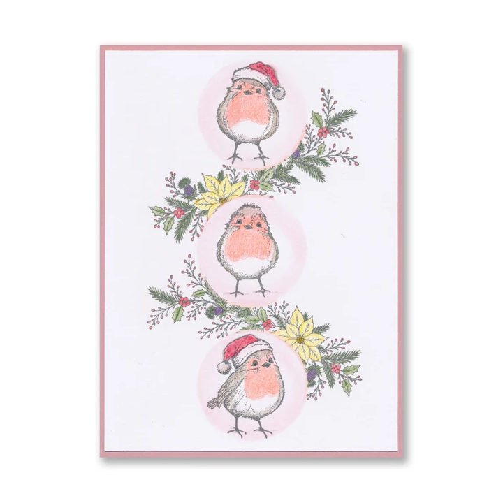 (STA-CH-12441-A6)Barbara's Christmas Animals - Robins A6 Stamp & Mask Set