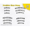 (APST001)Precision Clear Stamp Dutch texts 1