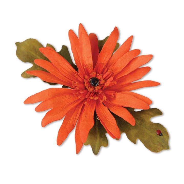 (659260)Thinlits Die Set 5PK - Flower, Gerbera Daisy