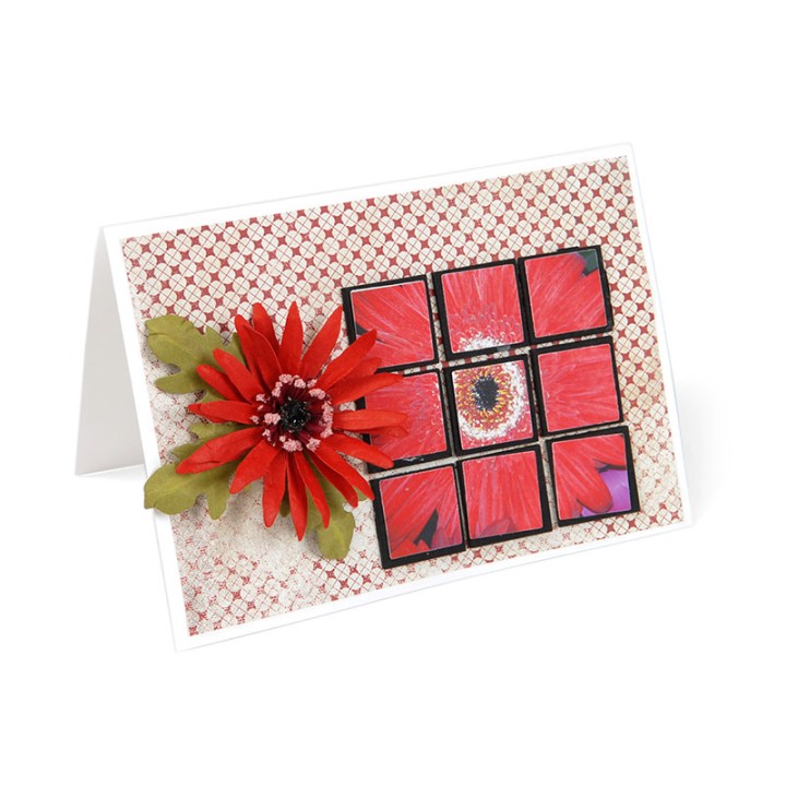 (659260)Thinlits Die Set 5PK - Flower, Gerbera Daisy
